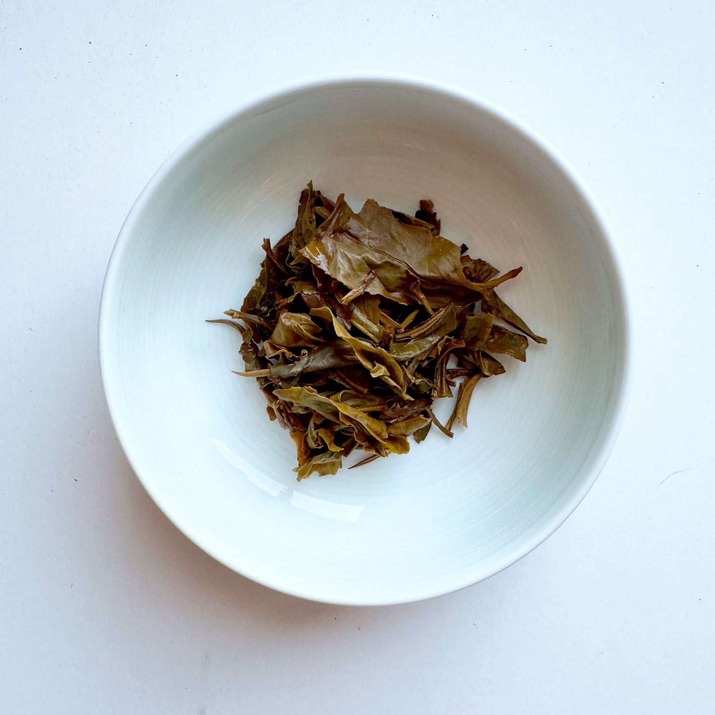 Yi Bang Man Gong Gushu First Flush Raw (Sheng) Pu'er / 依邦曼拱古樹頭採生普洱